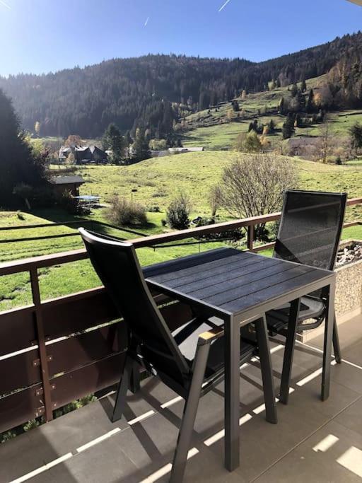Schwarzwald Loft Menzenschwandアパートメント エクステリア 写真