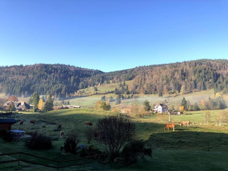 Schwarzwald Loft Menzenschwandアパートメント エクステリア 写真